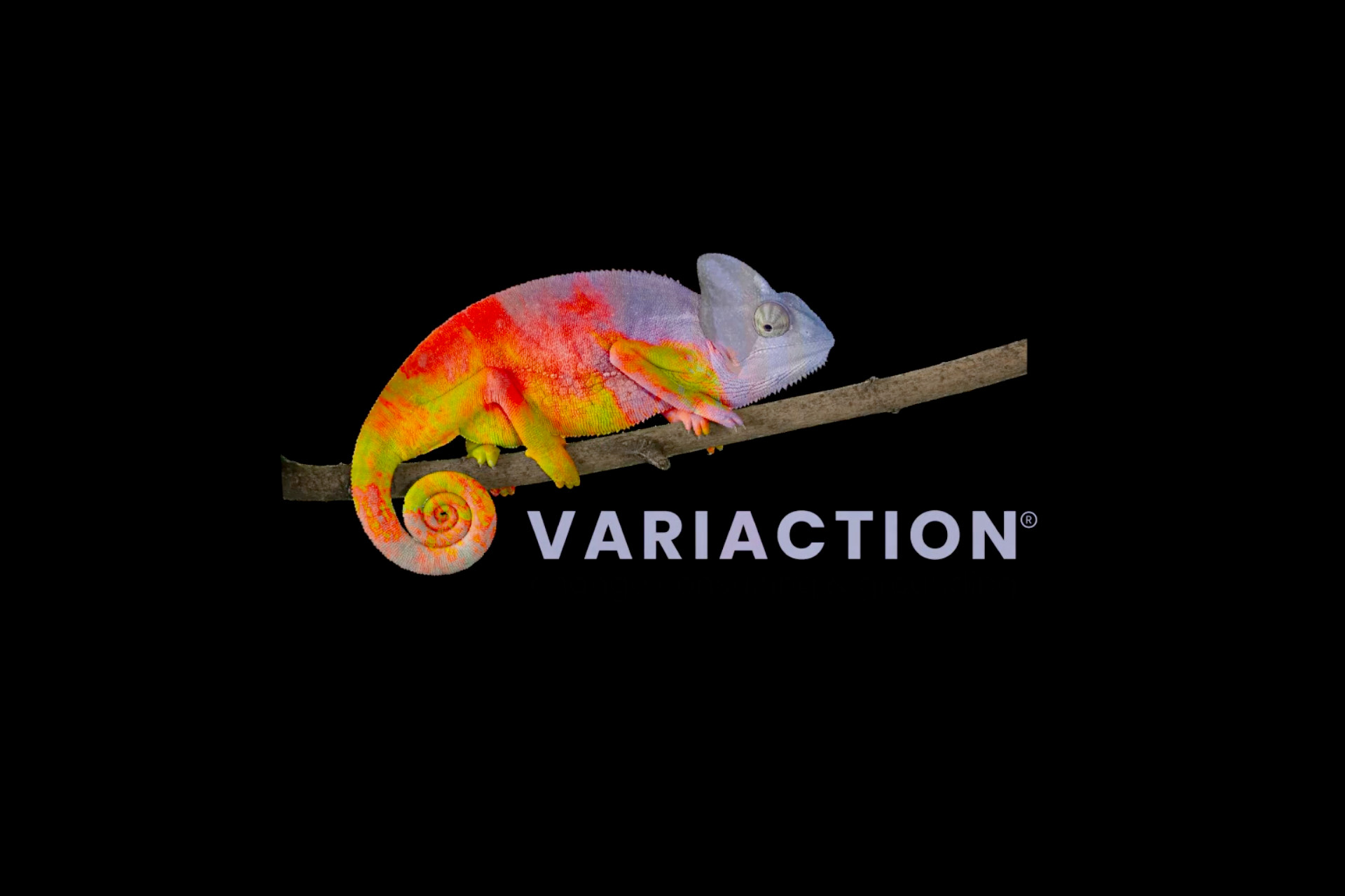 variaction