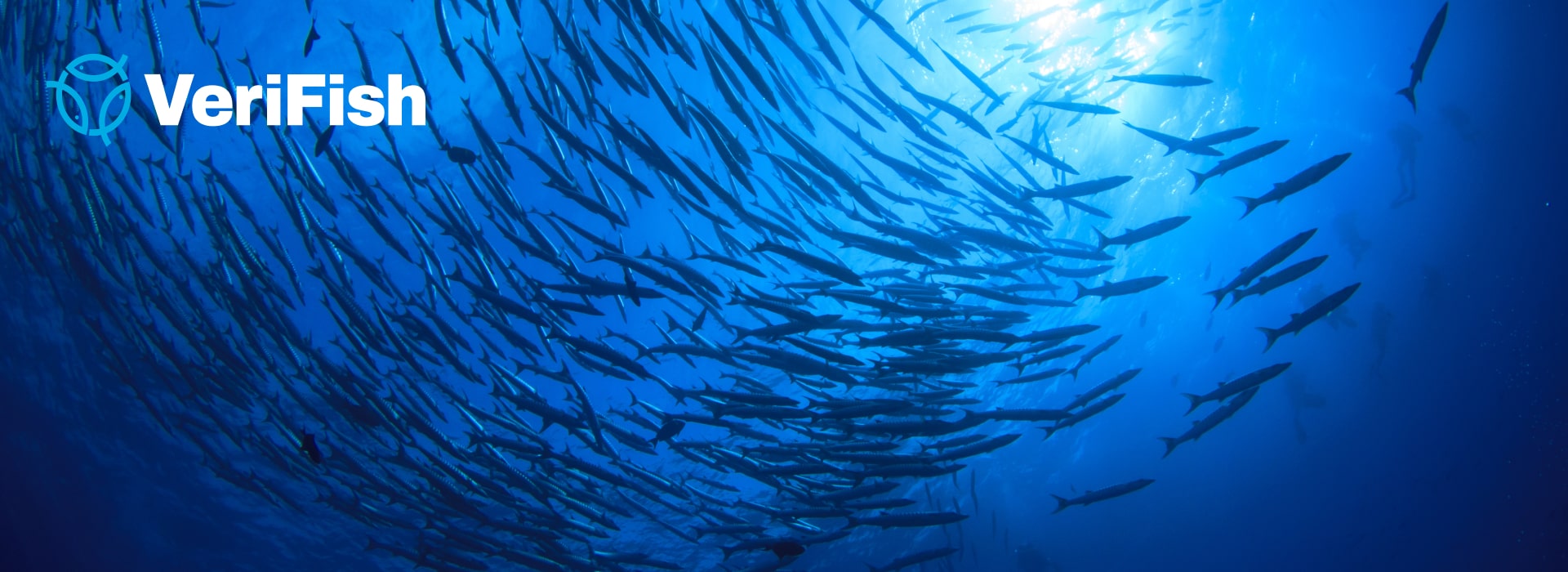 VeriFish