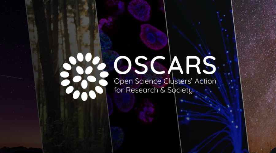 Oscars Banner