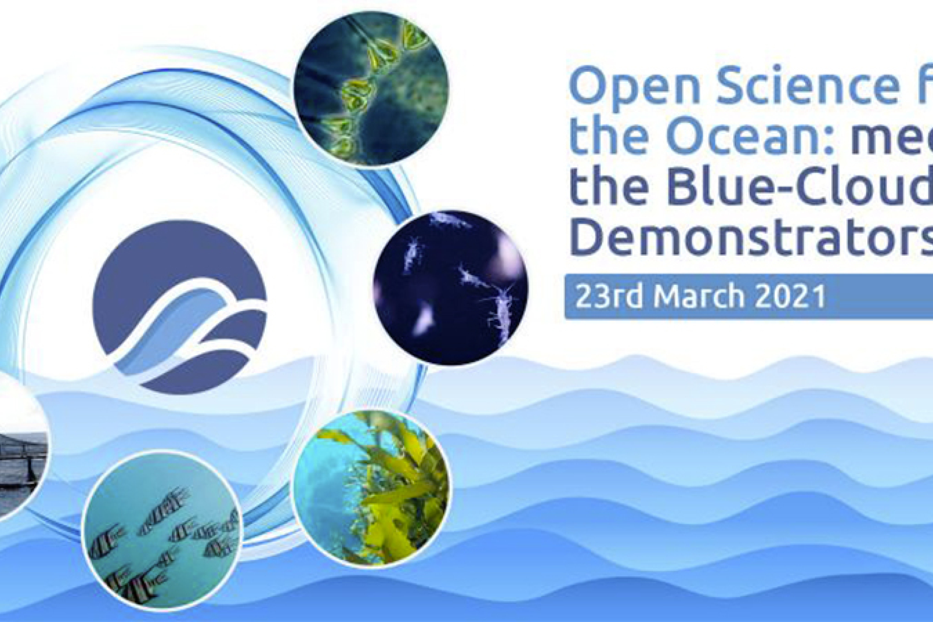 Open Science for the Ocean: meet Blue-Cloud Demonstrators